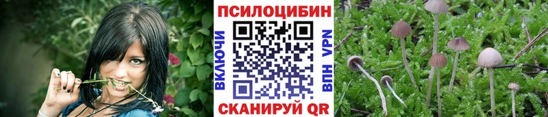 Псилоцибиновые грибы мухоморы  Тамбов 